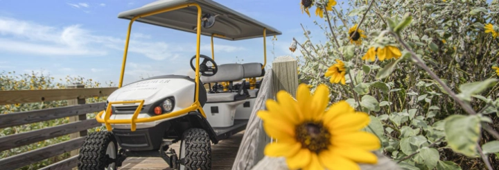 Sunflower Beach Resort Condo Rentals | Silver Sands Vacation Rentals | A VTrips Experience